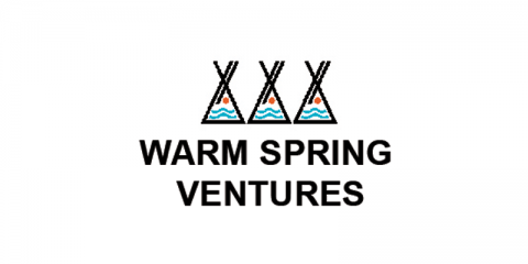 spring venture group pay